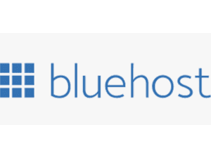 Bluehost India Logo