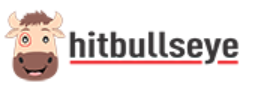 Hitbullseye Logo