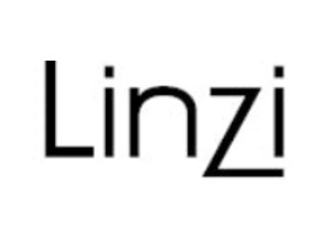 Linzi Logo