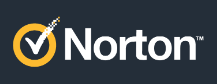 Norton India Logo