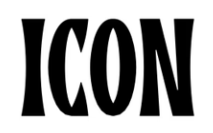 icon.in Logo